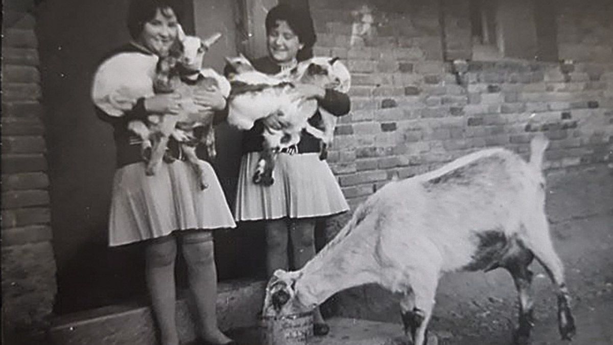 Las dos hijas de Santiago González con dos cabritos cada una... y la madre alimentándose.