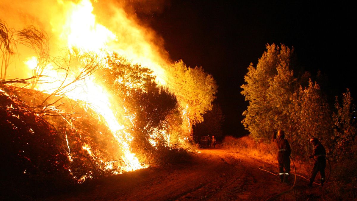 El grave incendio en el Pajariel en 2012, que calcinó más de cien hectáreas y finalizó con un detenido.| C. Sánchez (Ical)