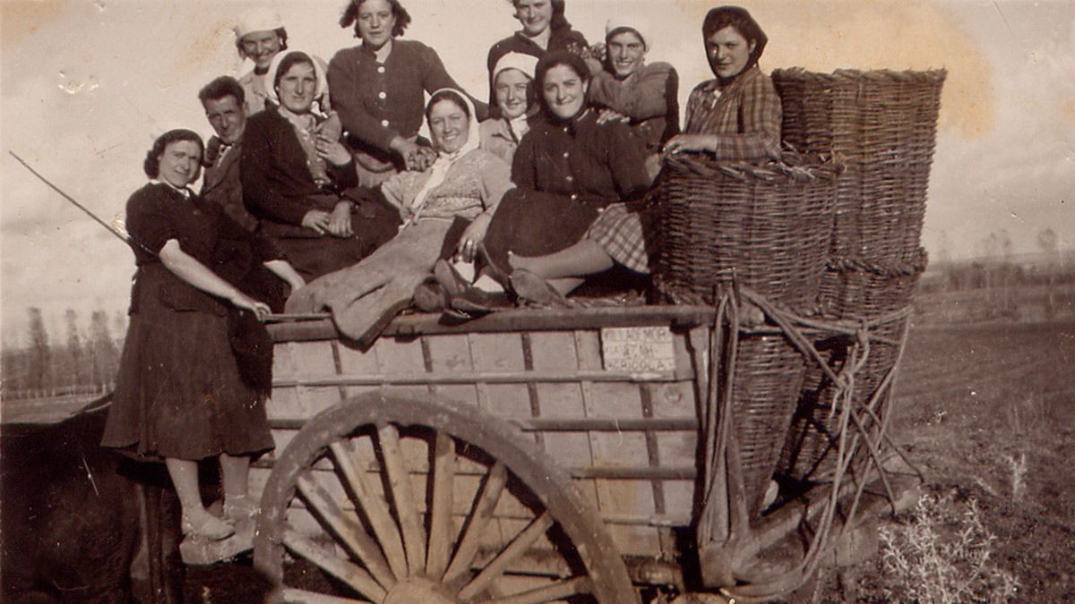 Grupo de vendimiadoras de Villademor en una imagen tomada en la década de los años 50 del pasado siglo. | LNC