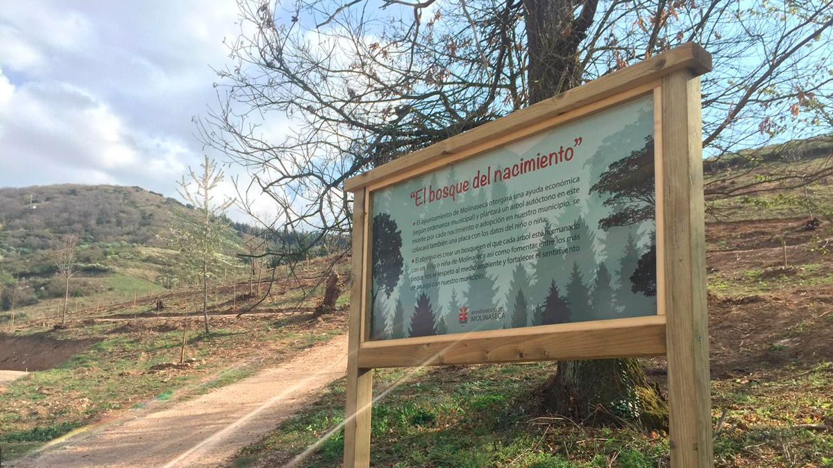 Entrada al Bosque del nacimiento recientemente abierto en Molinaseca.