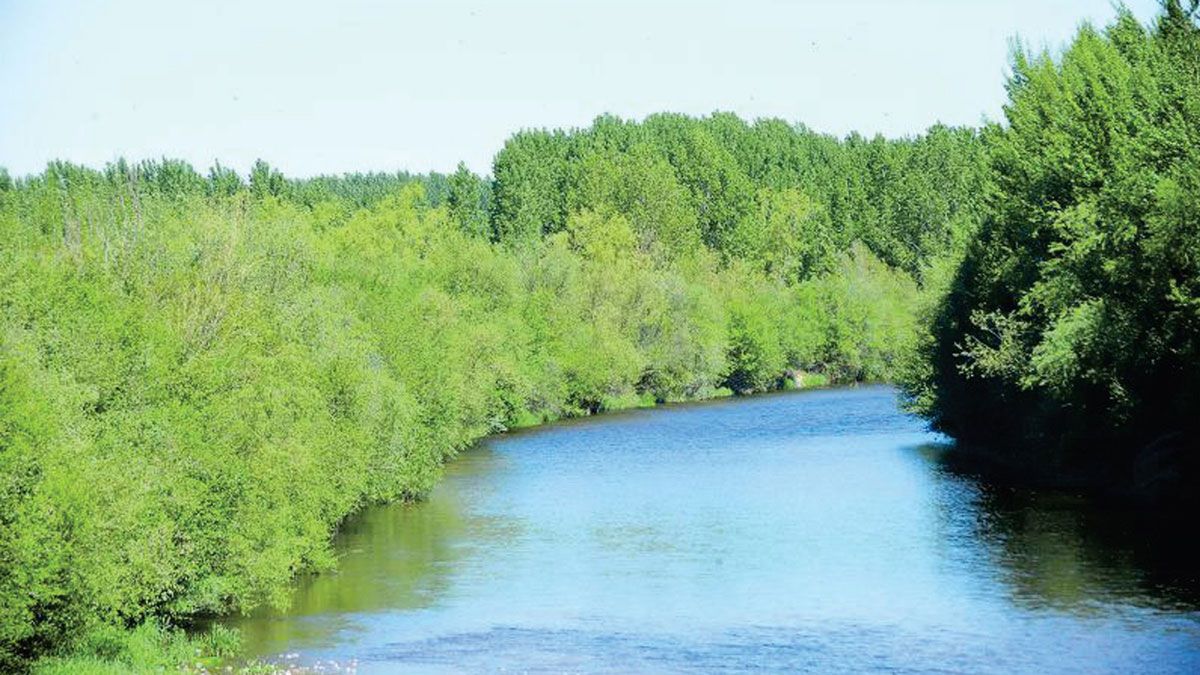 Una imagen del gran escenario que supone el coto de Marne. L.N.C. Una imagen del gran escenario que supone el coto de Marne. L.N.C.