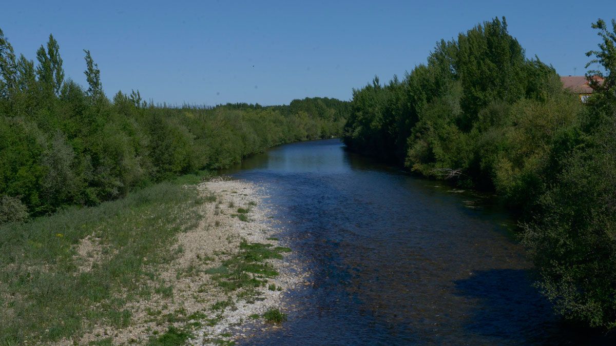 El río Tuerto, a su paso por La Bañeza . | ABAJO El río Tuerto, a su paso por La Bañeza . | ABAJO