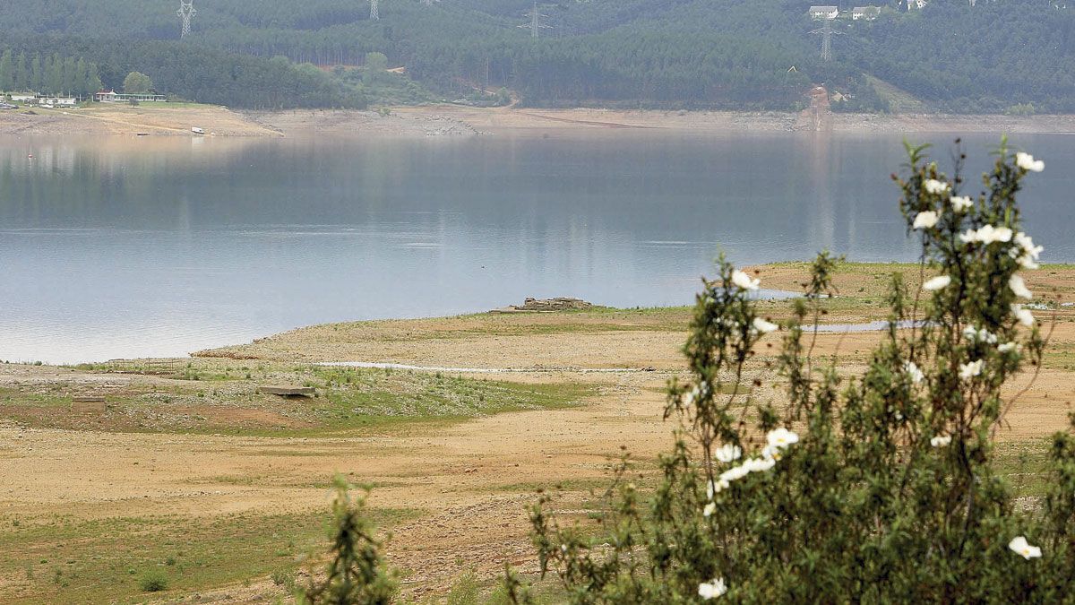 Las calmadas aguas del pantano de Bárcena, sobre el río Sil. |  ICAL