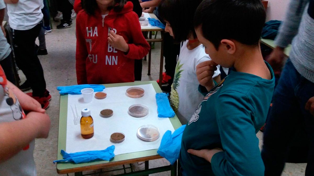 Uno de los experimentos realizados en el proyecto.