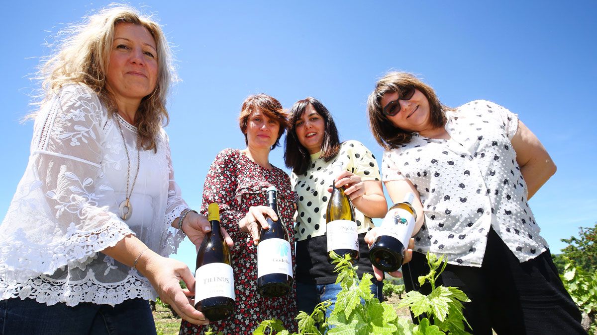 La mujer cada vez tiene más presencia en el sector vitivinícola berciano. | C.S. (ICAL)