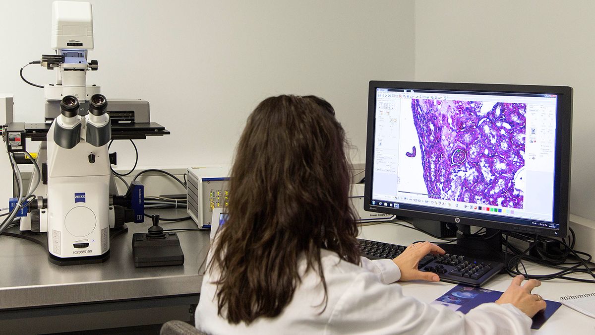 Imagen de archivo. | ICAL