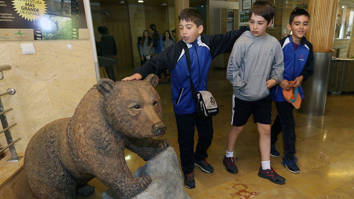 La Fundación Oso Pardo, dentro de un proyecto de Oso Red Natura, desarrolla acciones de educación ambiental con escolares de Palencia en la Casa del Parque y en el monte de las Matas cercano a Cervera de Pisuerga. | ICAL