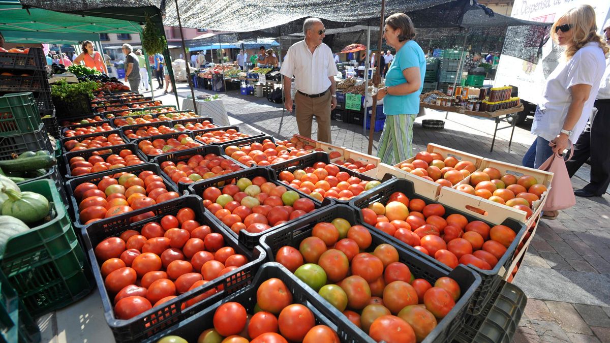 El tomate de Mansilla, muy apreciado en la gastronomía leonesa. | DANIEL MARTÍN