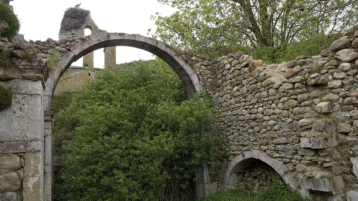 La iglesia de Camposilillo comida por la maleza, sólo la cigüeña aguanta en lo más alto de la torre. Abajo, una imagen antigua del pueblo. | MAURICIO PEÑA