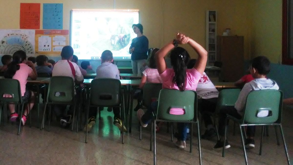 Esperanza Martín durante la explicación a los escolares. | E. NIÑO