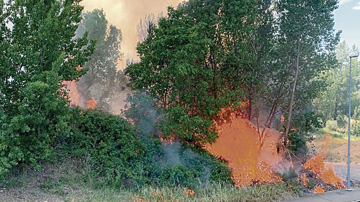 Un momento del incendio que se produjo este sábado en el entorno del Órbigo. | P.F.