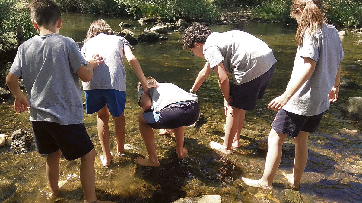 La CHD propone a los escolares diferentes actividades. | L.N.C. La CHD propone a los escolares diferentes actividades. | L.N.C.