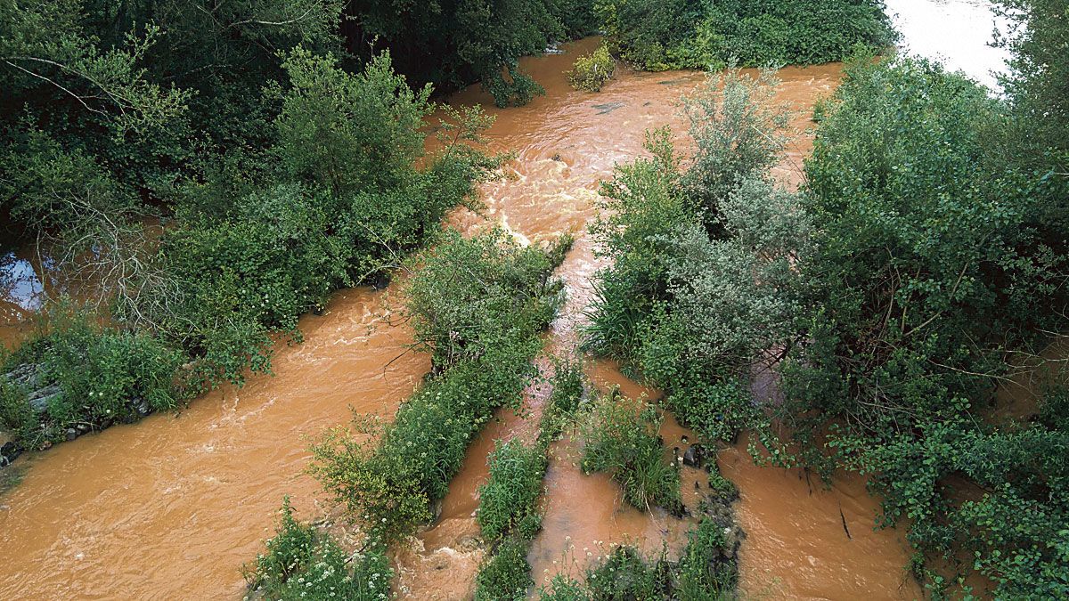 El río Sil en una de las riadas vividas los últimos años. | ICAL