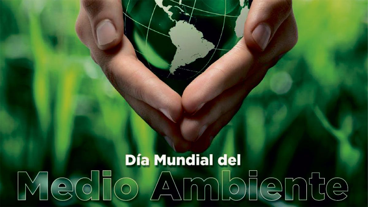 diamundialdelmedioambiente05-06-2019.jpg