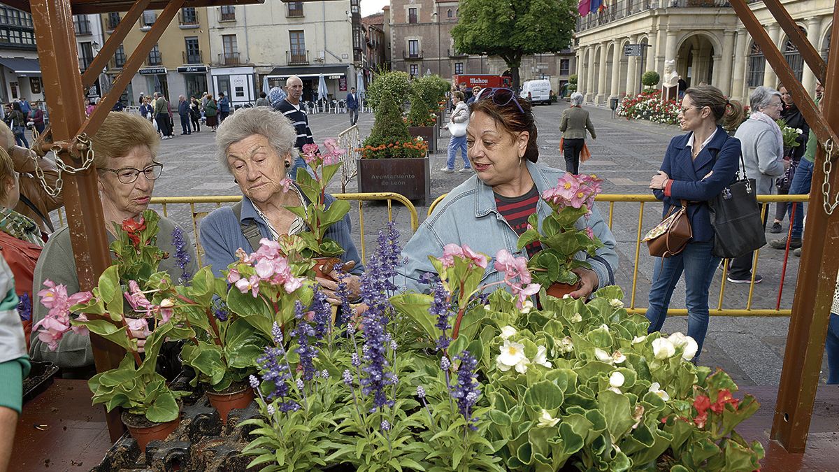 Un instante de las actividades organizadas por el Día Mundial del Medio Ambiente en la ciudad de León. | MAURICIO PEÑA