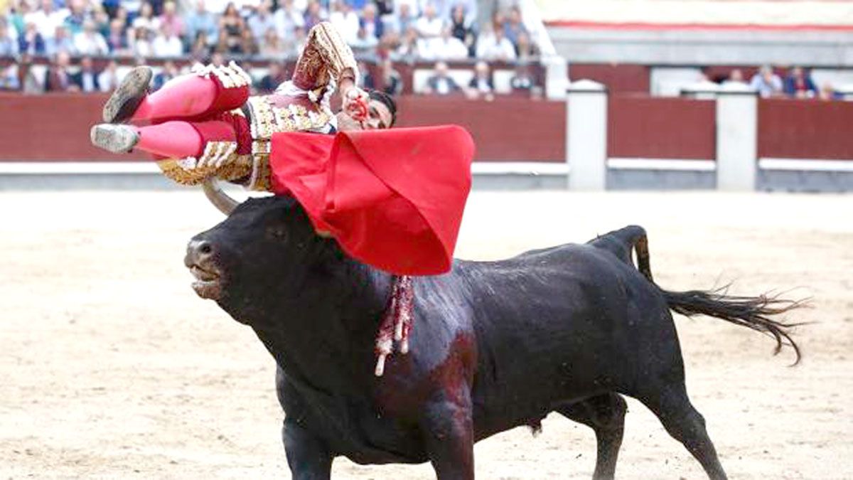 Momento de la grave cogida de Pablo Aguado al entrar a matar a su primer toro en la corrida de Madrid. | ABC.ES
