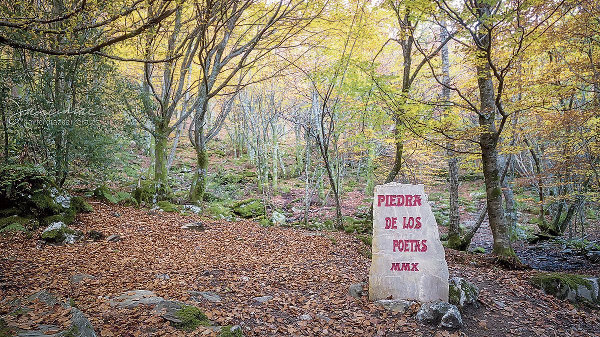 Desde 2010, cada agosto la Piedra de los Poetas espera sus versos en uno de los parajes naturales más bellos del Bierzo.