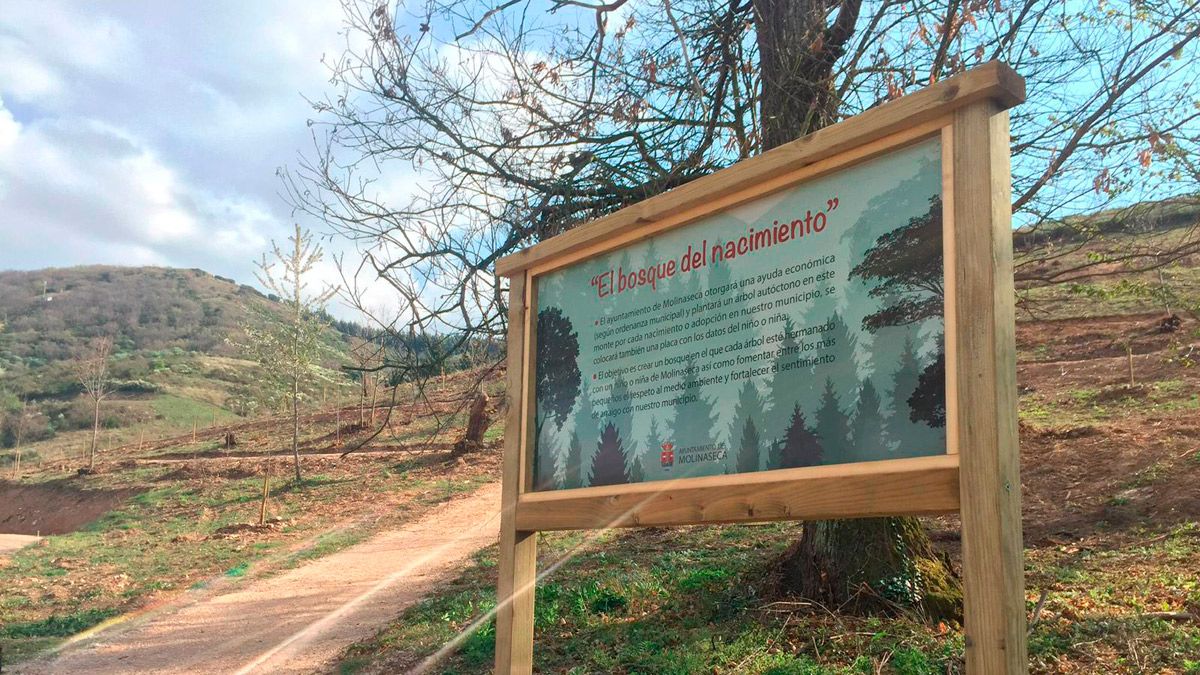 El Bosque del Nacimiento en Molinaseca será uno de los entornos paisajísticos que se potenciarán con estas ayudas. | L.N.C.
