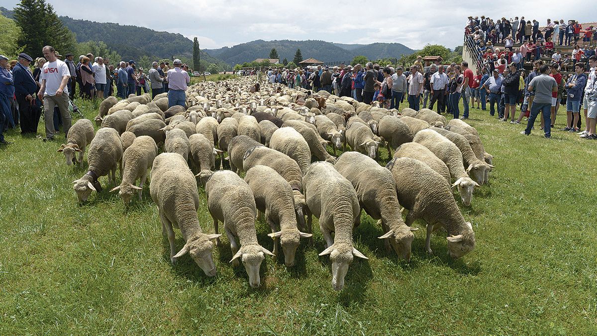 Fiesta de la Trashumancia. | MAURICIO PEÑA