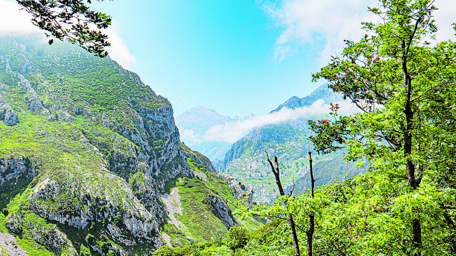 Al fondo asoma el Torrecerredo, cima mas elevada de los Picos. | VICENTE GARCÍA