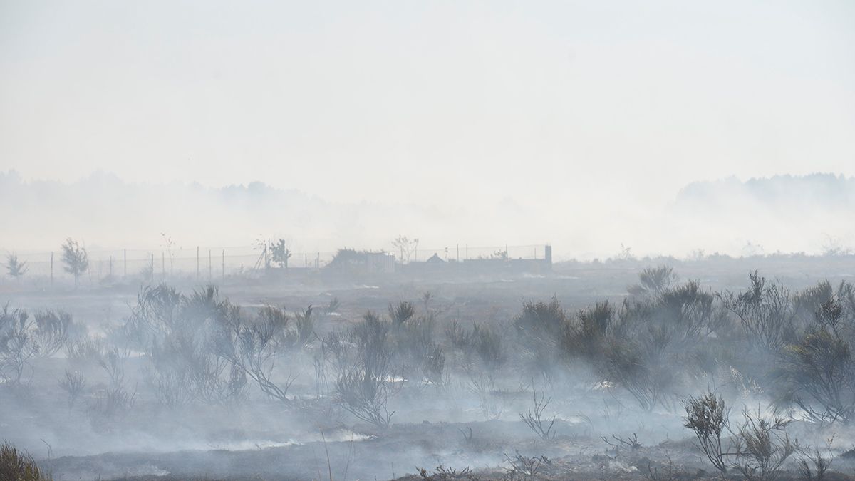 Imagen de archivo de un incendio en León. | MAURICIO PEÑA