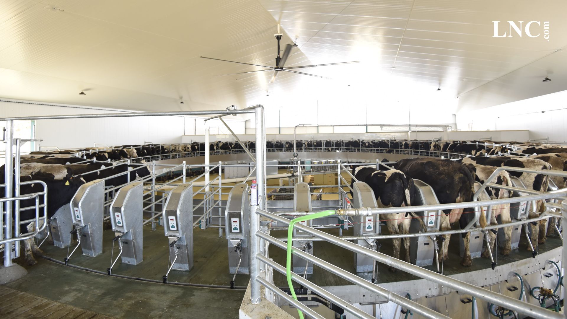 Granja de ganado vacuno de leche en Algadefe. | LNC