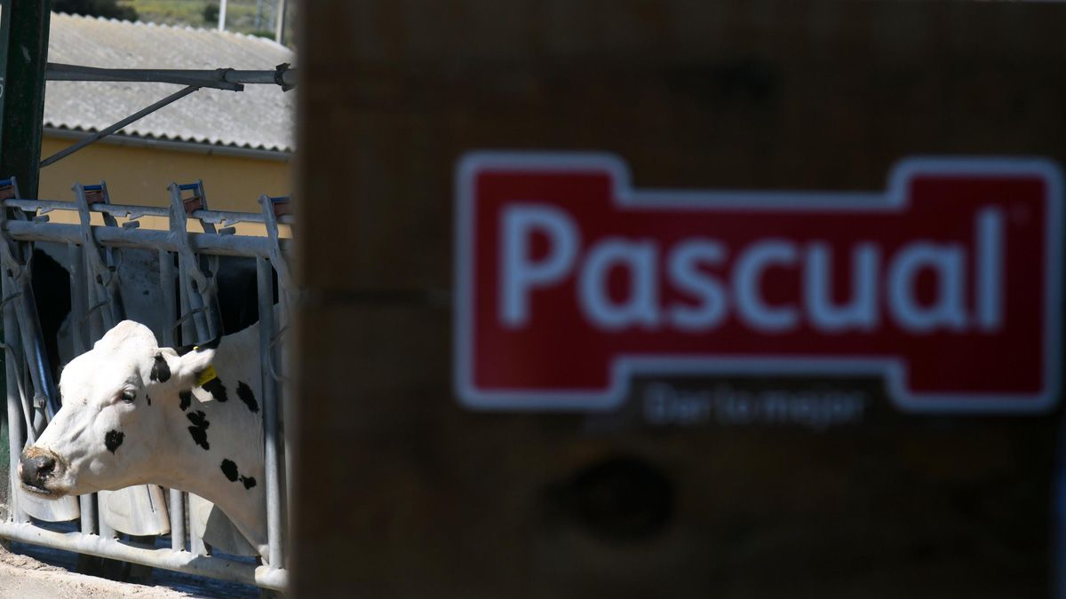 Calidad Pascual es una de las industrias sancionadas. | ICAL