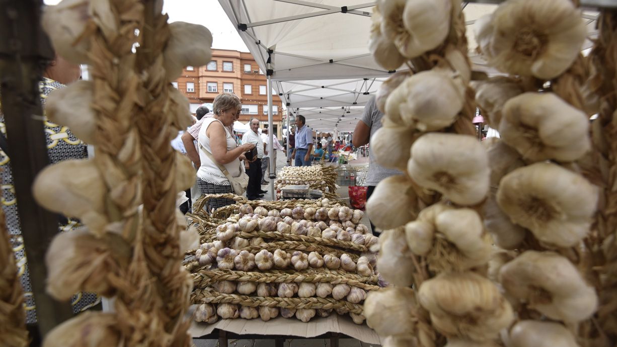 Foto de las autoridades de la Feria Agroganadera y del Ajo de Veguellina. | SAÚL ARÉN