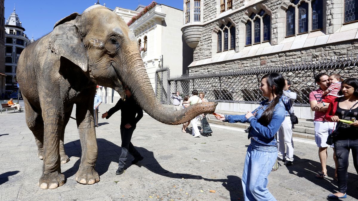 El circo Kaos promociona su espectáculo de las Fiestas de San Juan y San Pedro en el centro de León. | CARLOS S. CAMPILLO (ICAL)