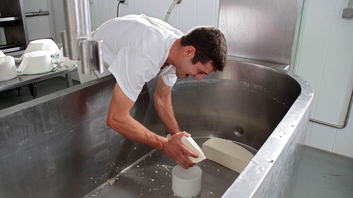 Javier Manzano, ganadero de ovejas y productor de los quesos Zarandiel en Barrillos de Curuñeño. | PEIO GARCÍA (ICAL)
