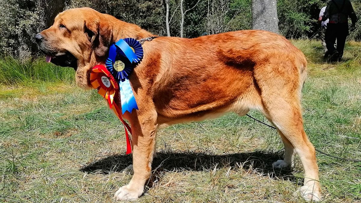 Oliveros de los Zumbos, uno de los ganadores del concurso. | L.N.C.