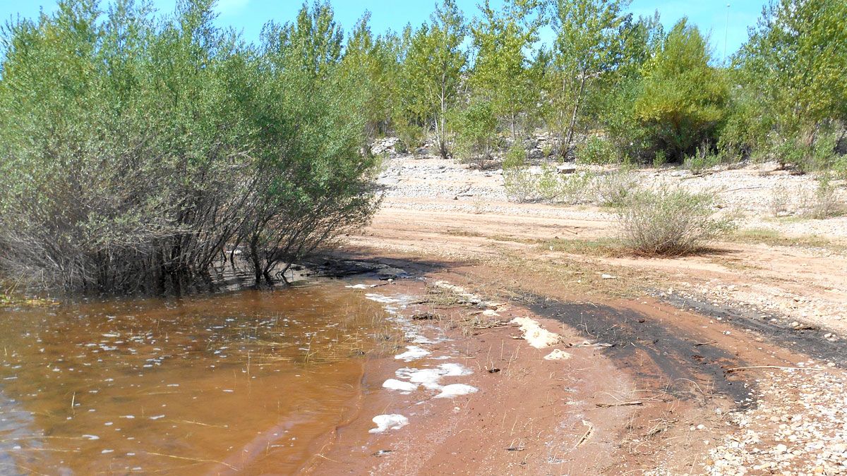 Imagen facilitada por la Agrupación Ciudadanos de Cubillos, de restos de espuma en una orilla del pantano.