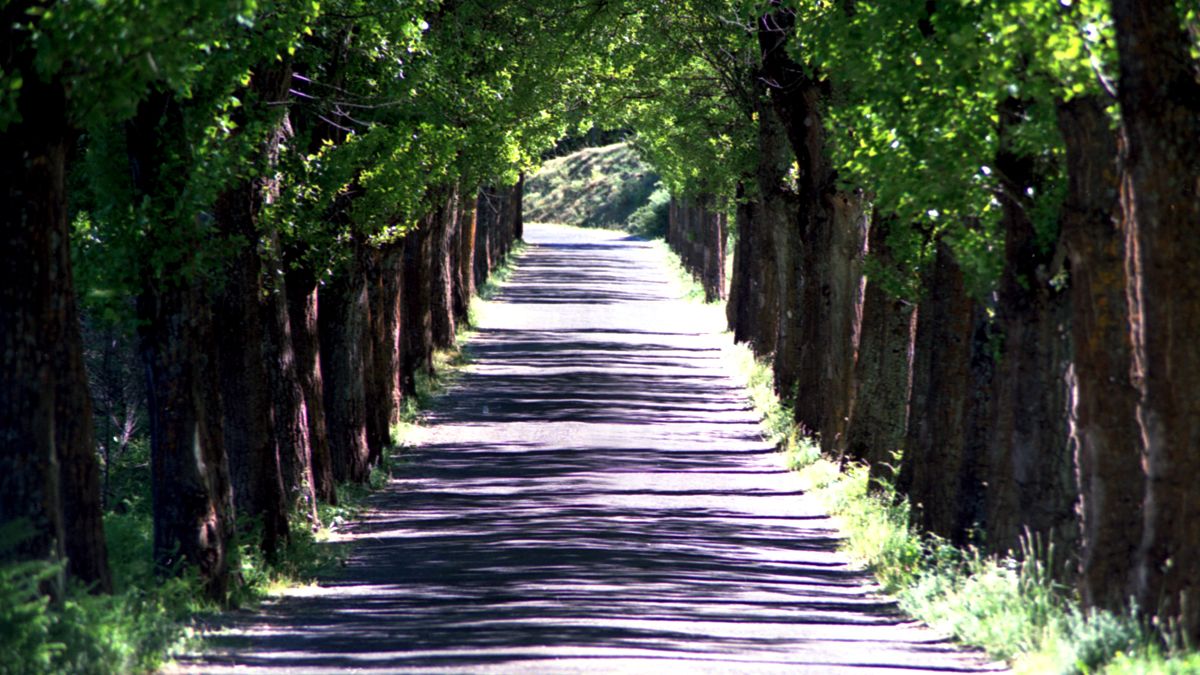 carretera-verano-17-08-19-web.jpg