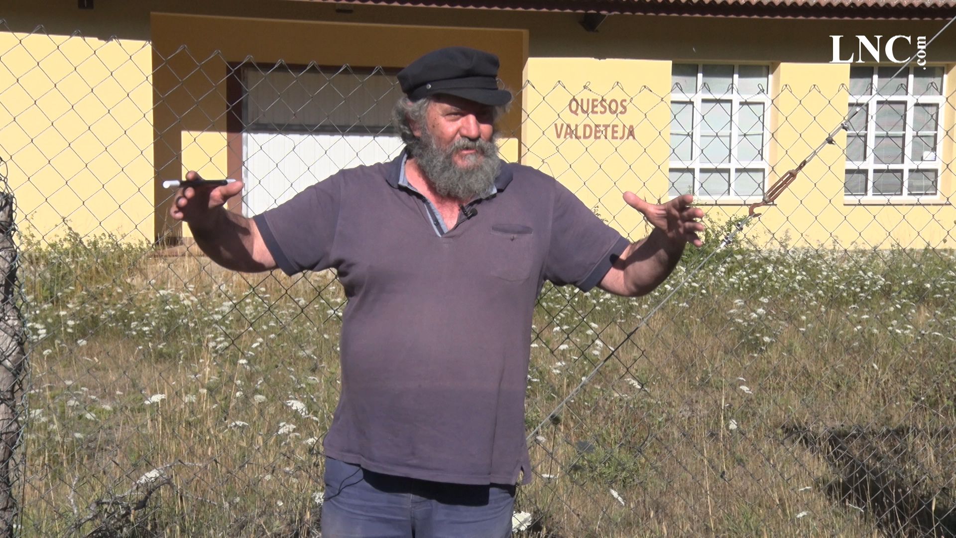 frame-18cataplasma-18082019.jpg