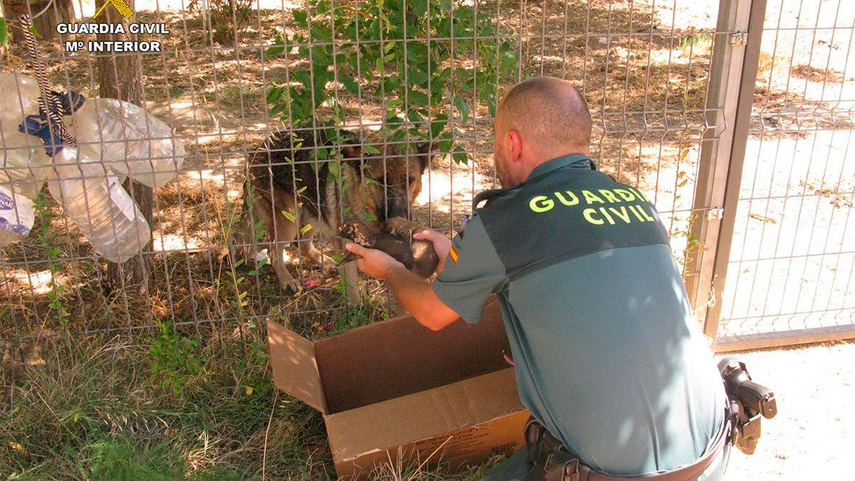 guardia-civil-20819.jpg