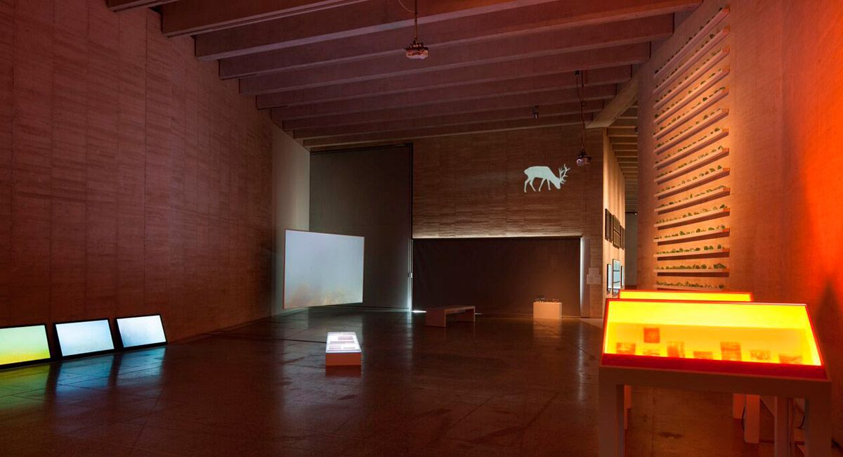 El artista asturiano Javier Riera forma parte de la exposición colectiva 'Sector primario'. | MUSAC