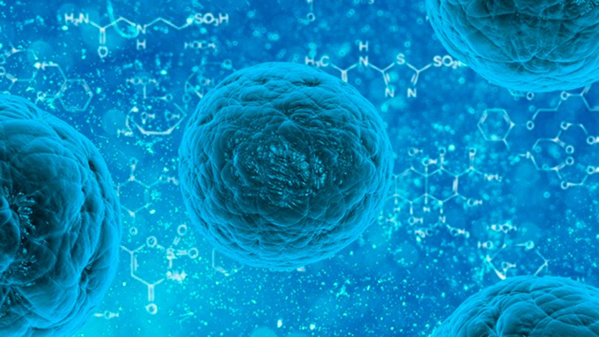 Bacteria Listeria causante de la listeriosis. | EUROPA PRESS