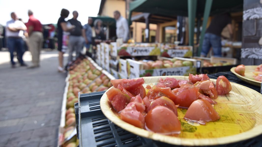 Anterior edición de la Feria del Tomate de Mansilla de las Mulas. | SAÚL ARÉN