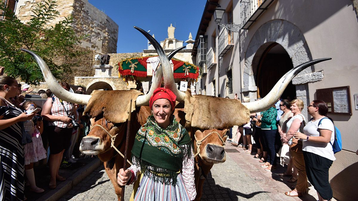 El desfile de carros engalanados es uno de los momentos más tradicionales de las fiestas de San Froilán en León. | SAÚL ARÉN