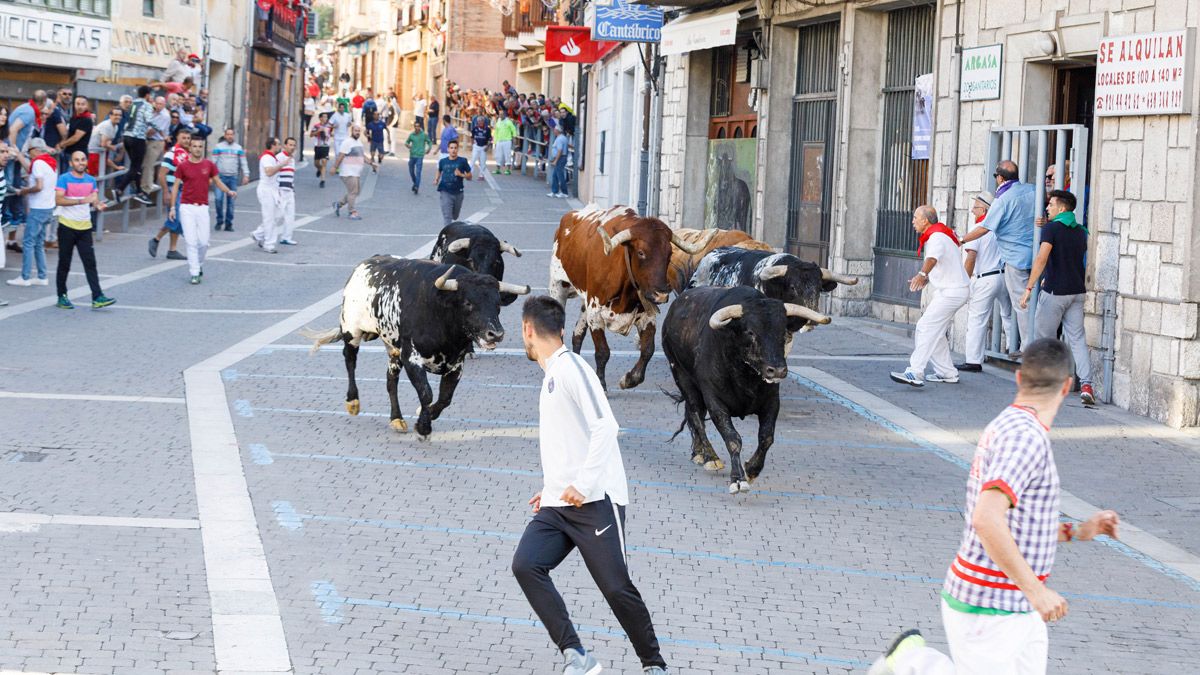 Uno de los encierros de la localidad segoviana de Cuéllar. | ICAL