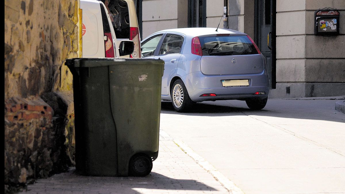 Esperan poder tener resultados en el plazo de un año. | P.F.