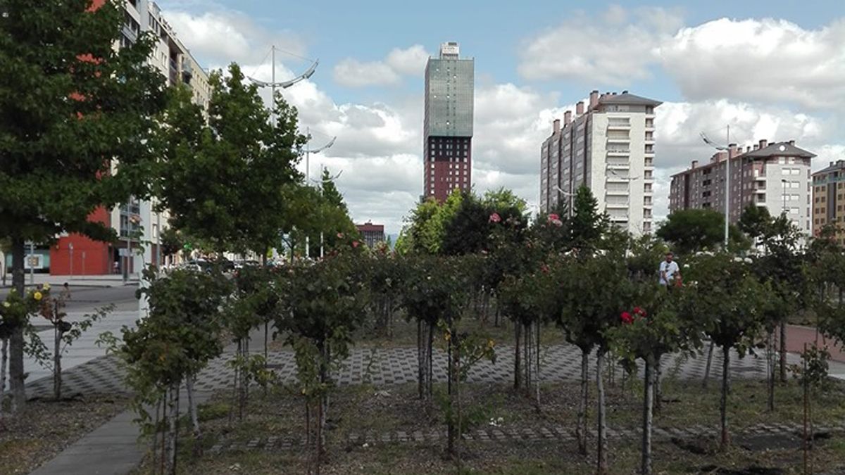 Los vecinos de LaRosaleda piden que se recupere un proyecto de ocio que quedó en cartera. | A.V. LA ROSALEDA