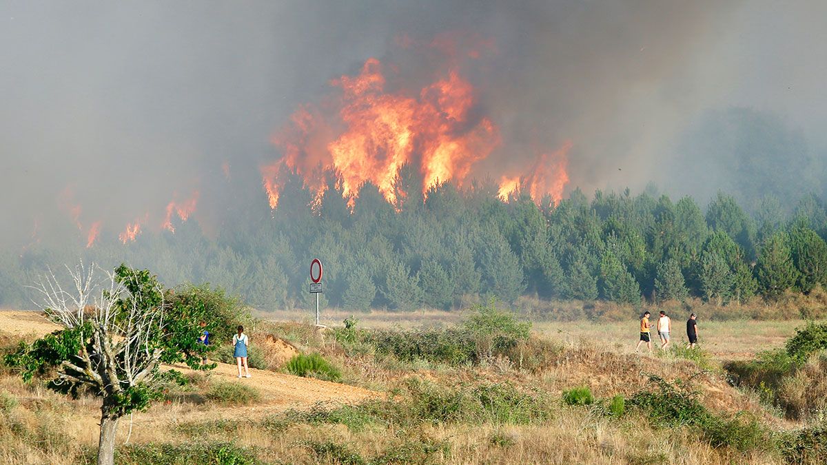 Imagen del incendio de Villapadierna durante el pasado mes de agosto. | ICAL
