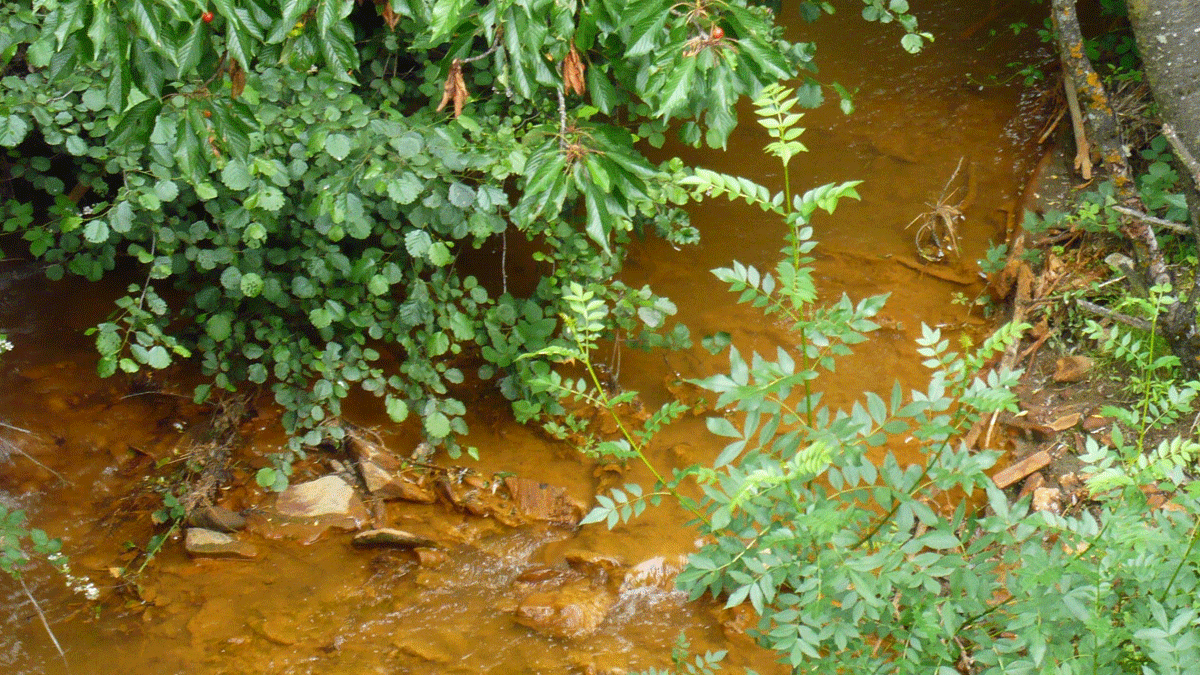 El arroyo de La Silva, contaminado. | L.N.C.