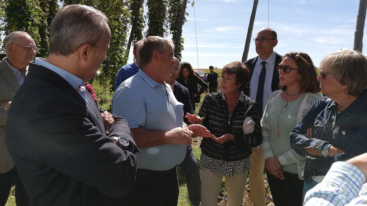 Una imagen de la visita de las representantes políticos a la plantación de lúpulo de Llamas de la Ribera.