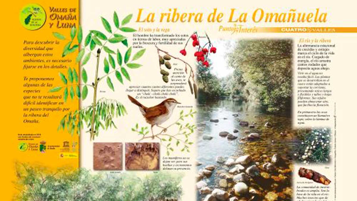 Punto de Interés Natural de La Ribera de La Omañuela. | L.N.C.