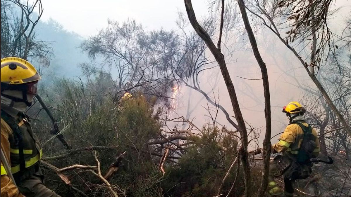 Efectivos de las Brif trabajando en el lugar del incendio. | @at_brif