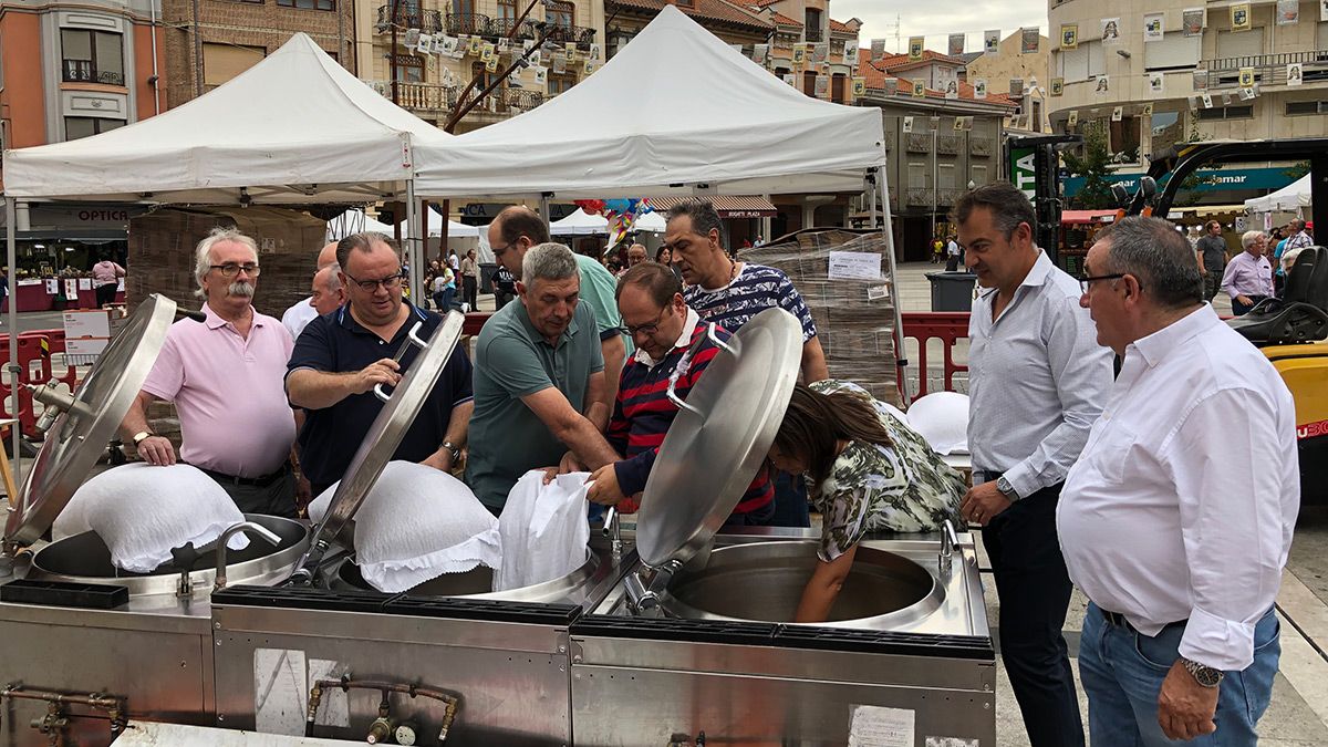alubia-baneza-14919.jpg alubia-baneza-14919.jpg