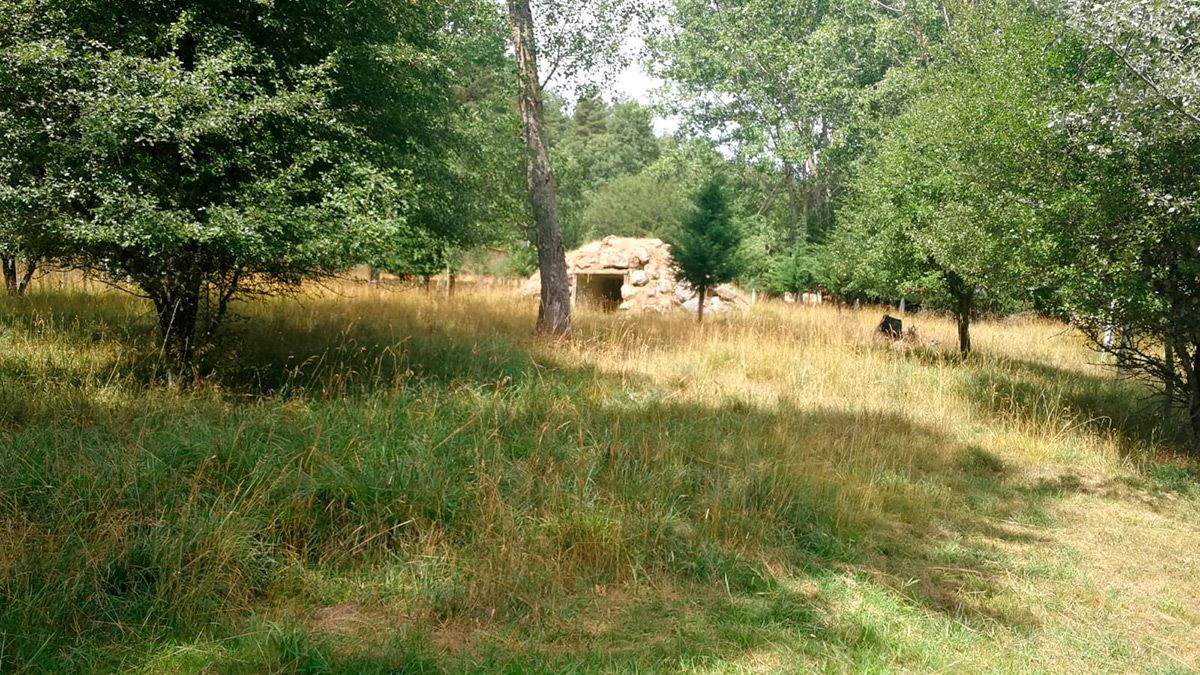 Paraje leonés de Valmaseda donde ha sido trasladada la osa. | JCYL