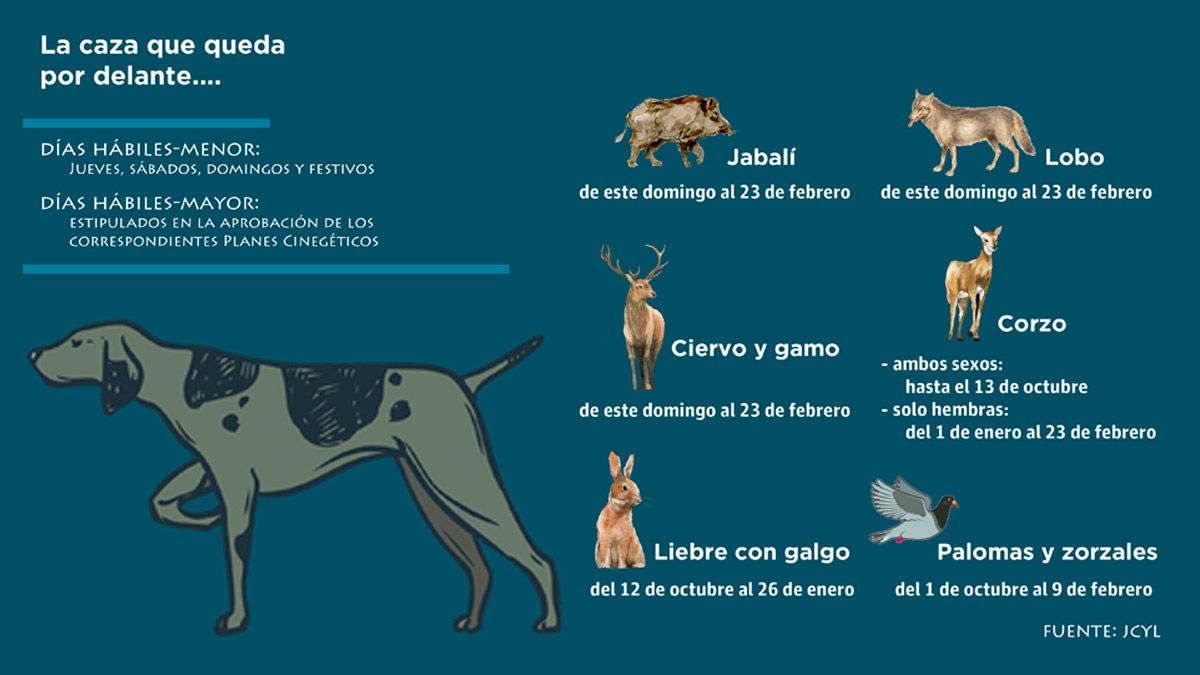 Gráfico con los períodos hábiles que comenzarán en lo que queda de año. | L.N.C.